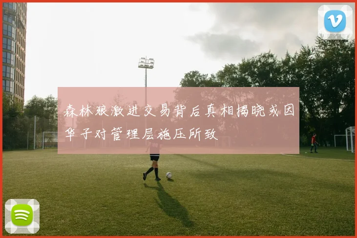 森林狼激进交易背后真相揭晓或因华子对管理层施压所致