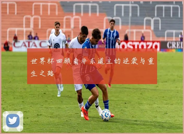 世界杯回顾南非东道主的逆袭与重生之路