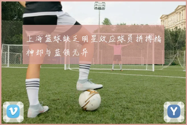 上海篮球缺乏明星效应球员拼搏精神却与蓝领无异