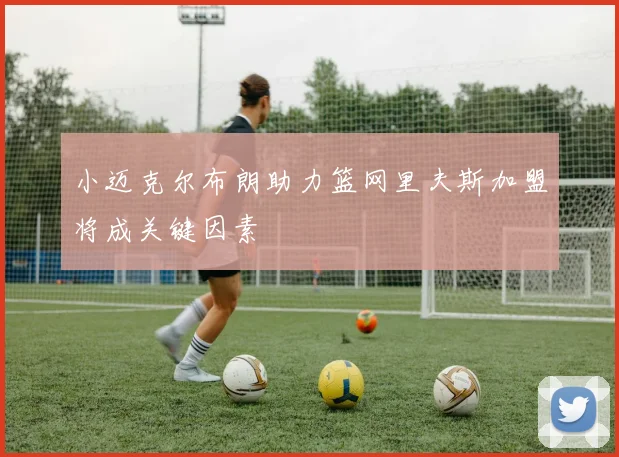 小迈克尔布朗助力篮网里夫斯加盟将成关键因素